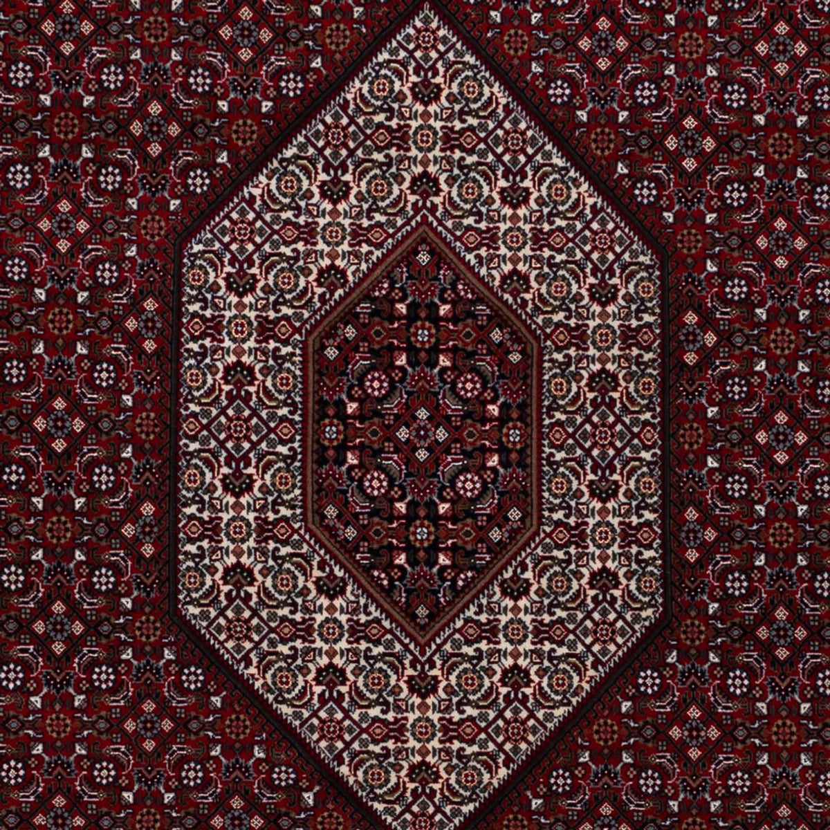 Alfombra oriental - Bidjar - Indus - 305 x 198 cm - camello oscuro