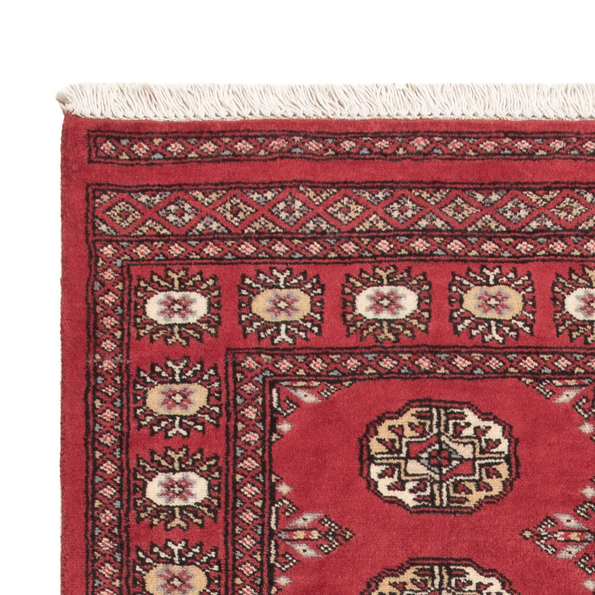 Alfombra Pakistani - 156 x 92 cm - rojo