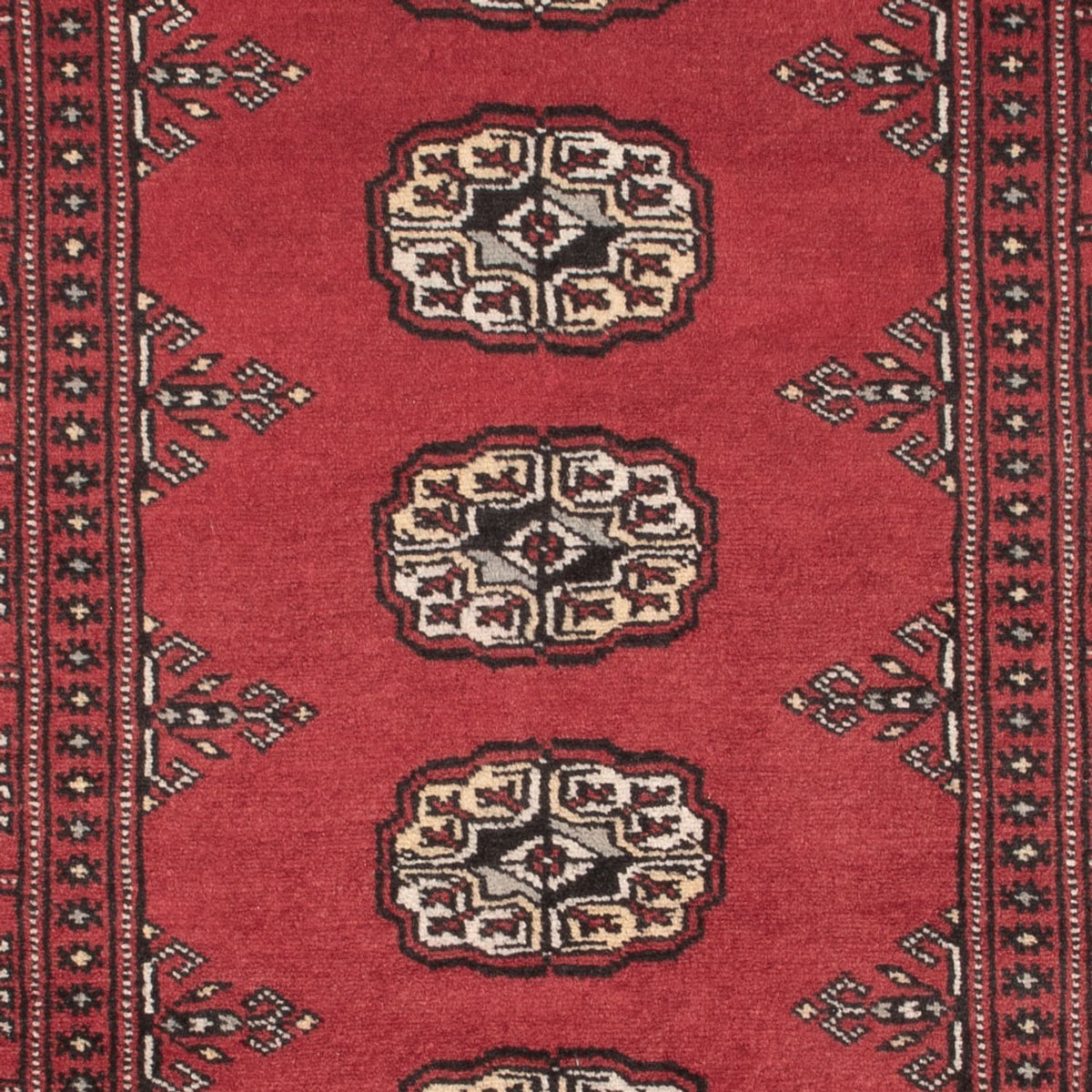 Alfombra Pakistani - 163 x 94 cm - rojo