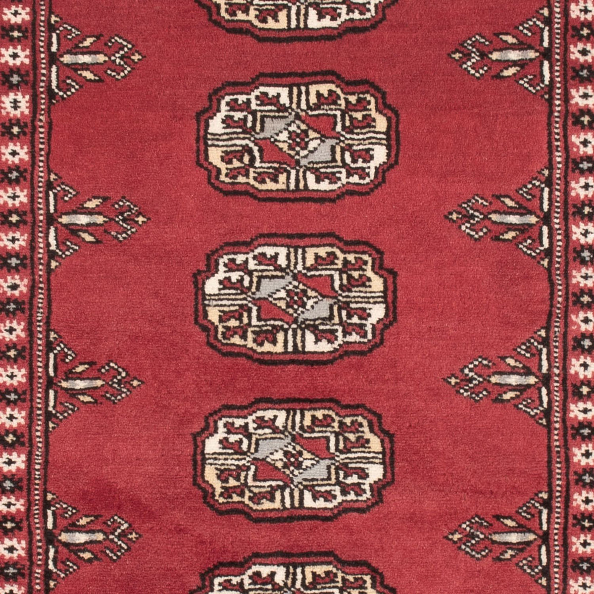 Alfombra Pakistani - 159 x 92 cm - rojo