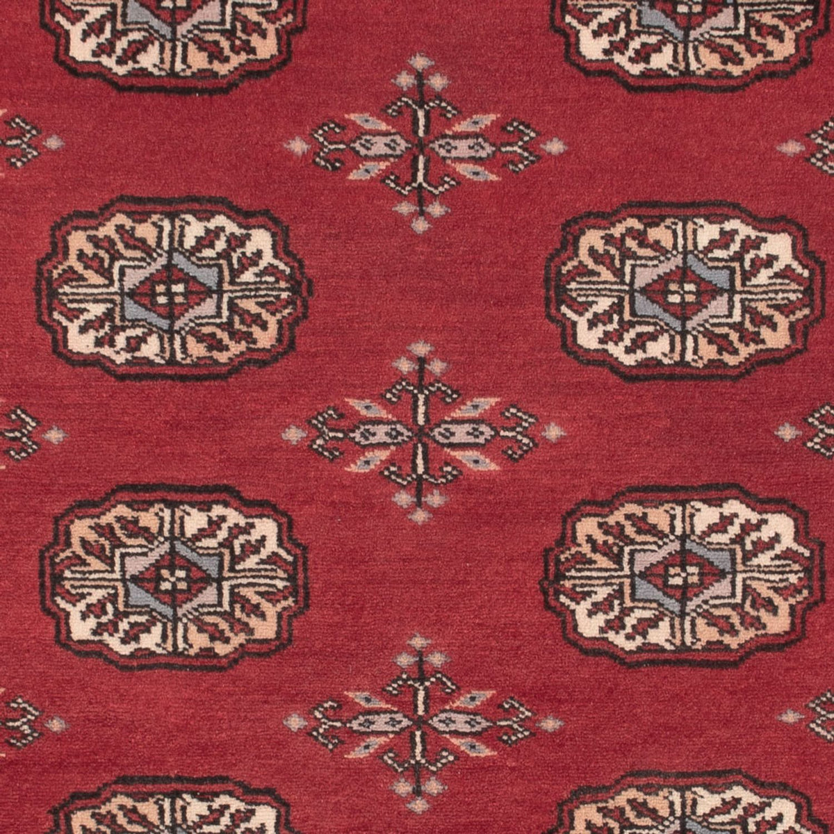 Alfombra Pakistani - 156 x 96 cm - rojo