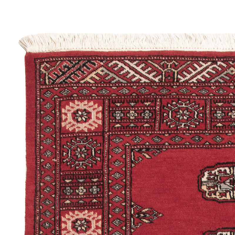 Alfombra Pakistani - 151 x 92 cm - rojo