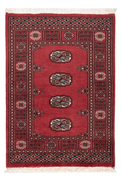 Alfombra Pakistani 75x103cm - Alfombra oriental