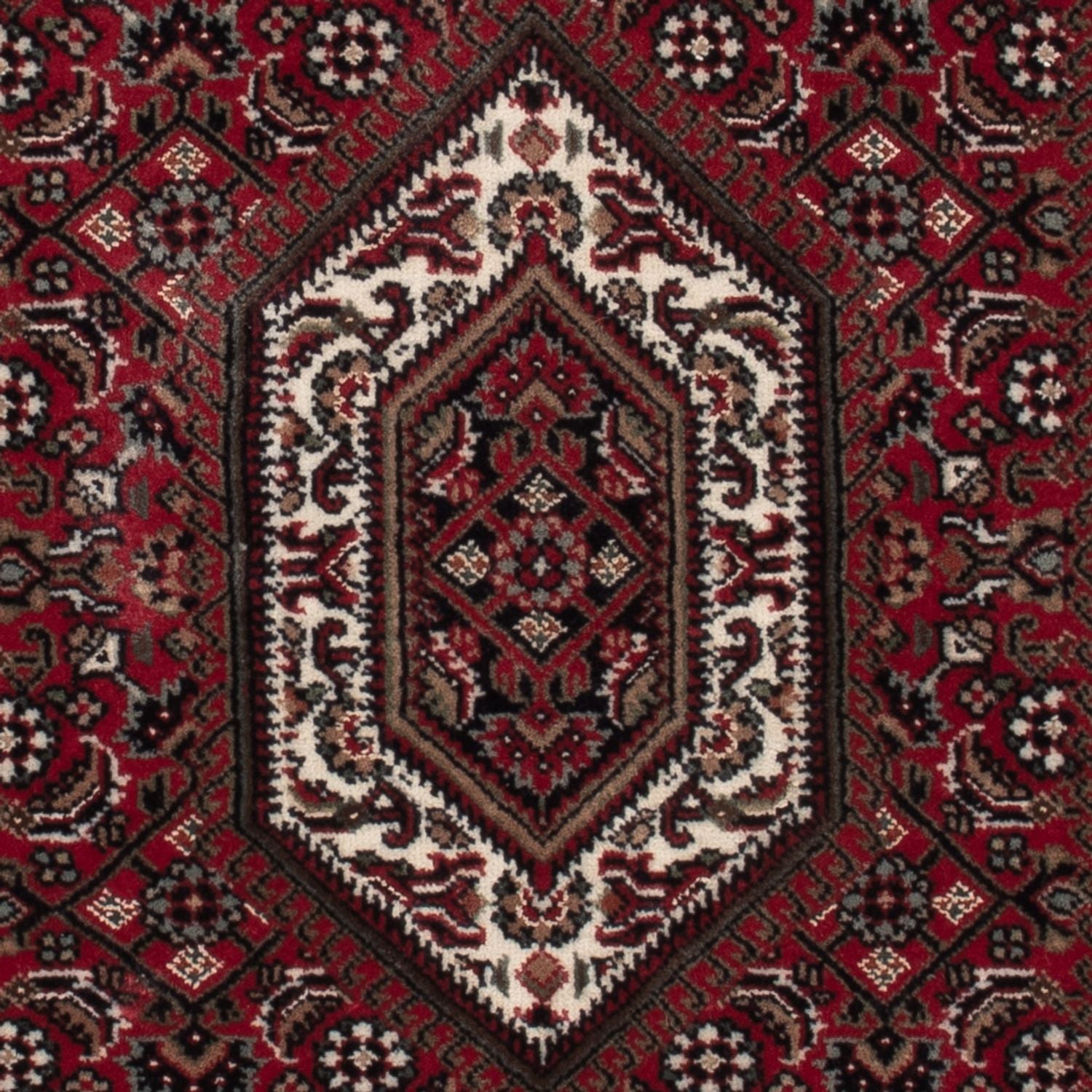 Alfombra oriental - Bidjar - Indus - 141 x 73 cm - beige oscuro