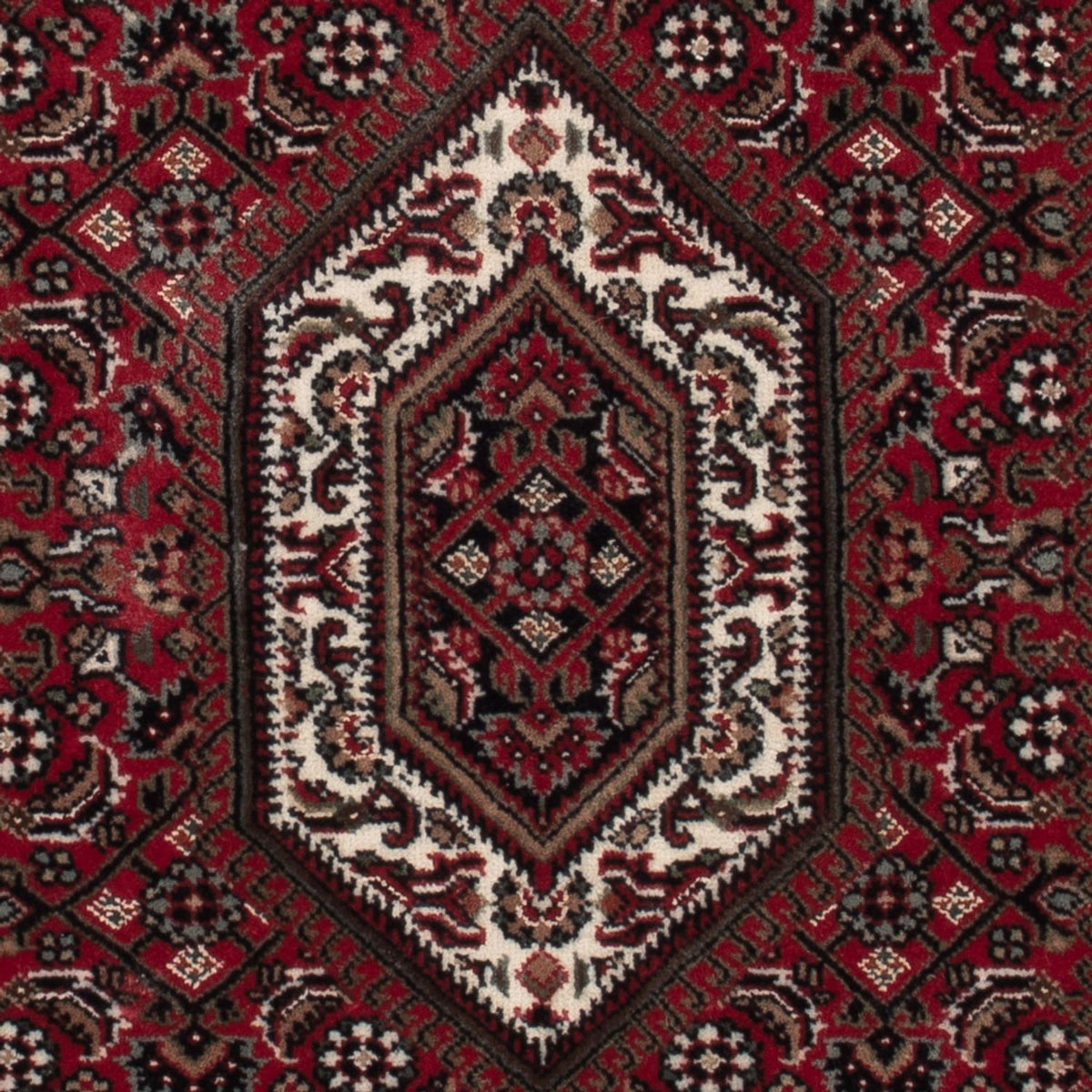 Alfombra oriental - Bidjar - Indus - 141 x 73 cm - beige oscuro