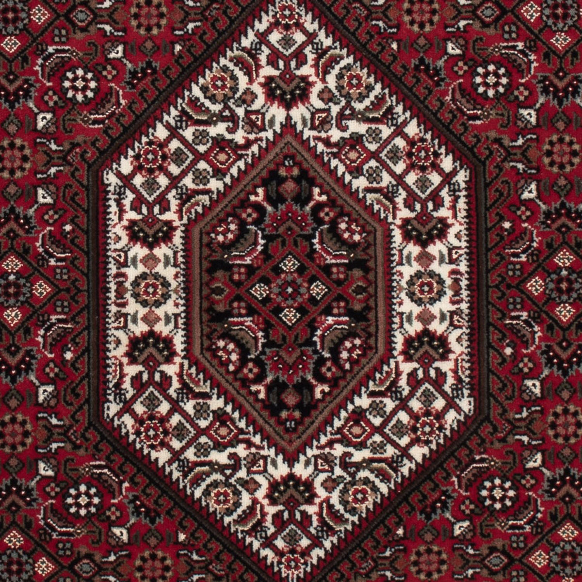 Alfombra oriental - Bidjar - Indus - 159 x 91 cm - beige oscuro
