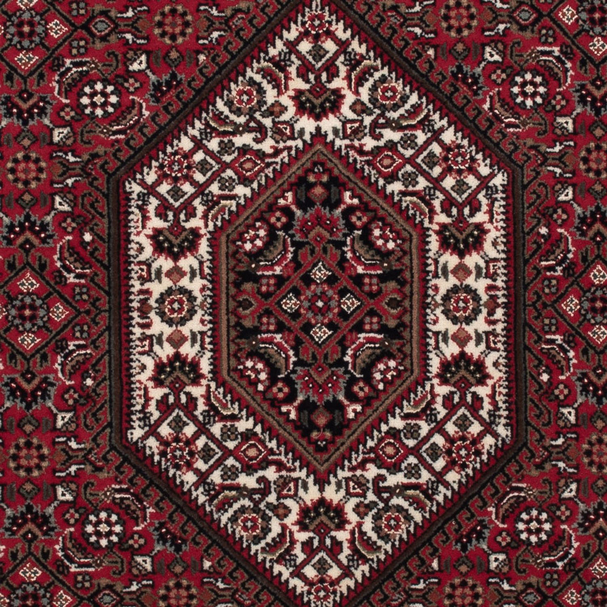 Alfombra oriental - Bidjar - Indus - 160 x 90 cm - beige oscuro
