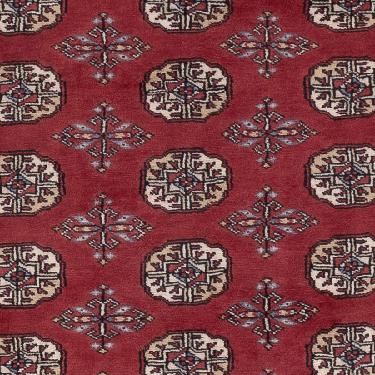 Alfombra Pakistani - 182 x 125 cm - rojo