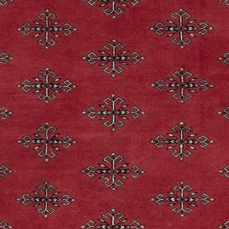 Alfombra Pakistani - 183 x 124 cm - rojo