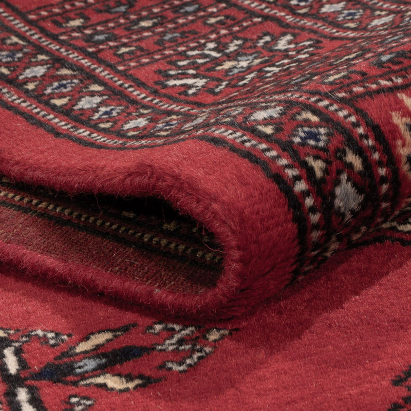 Alfombra de pasillo Alfombra Pakistani - 331 x 77 cm - rojo