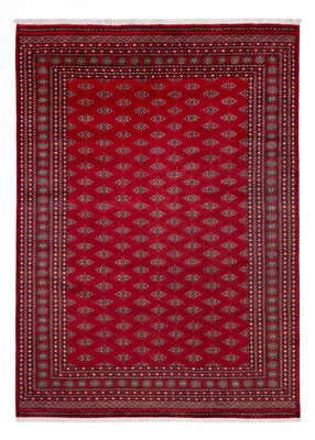 Alfombra afgana - Bukhara - 350 x 253 cm - rojo