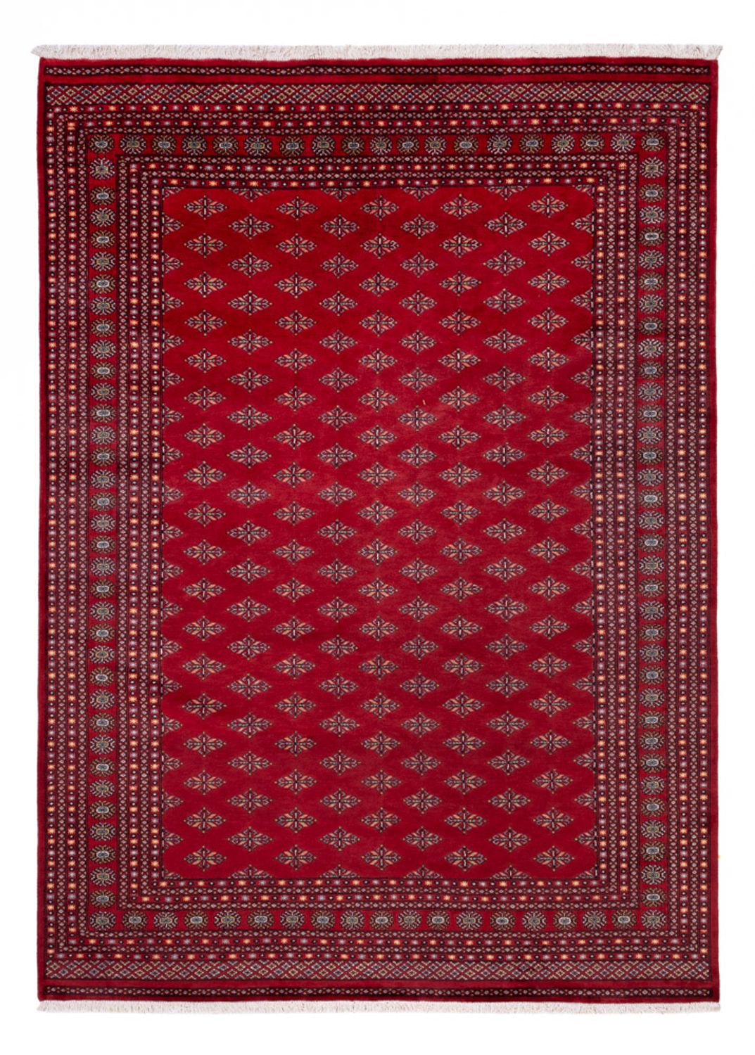 Alfombra afgana - Bukhara - 350 x 253 cm - rojo