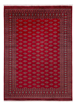 Alfombra afgana - Bukhara - 350 x 253 cm - rojo