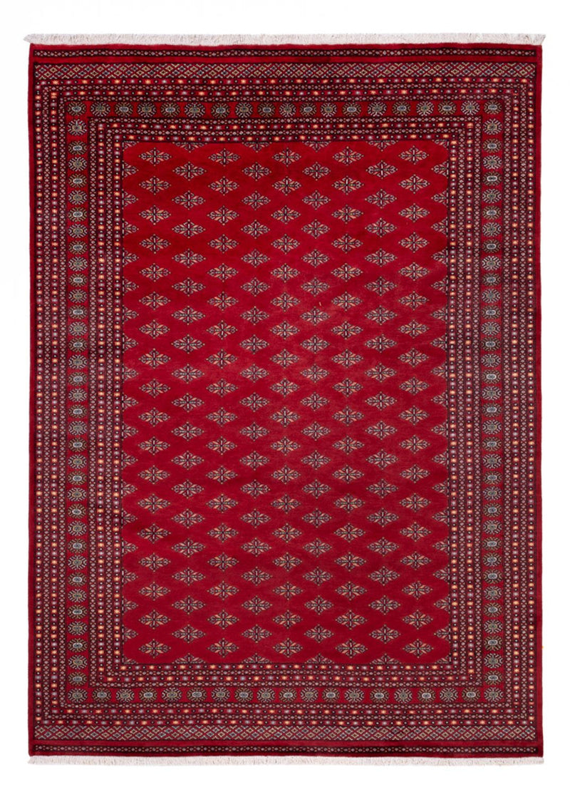 Alfombra afgana - Bukhara - 350 x 253 cm - rojo