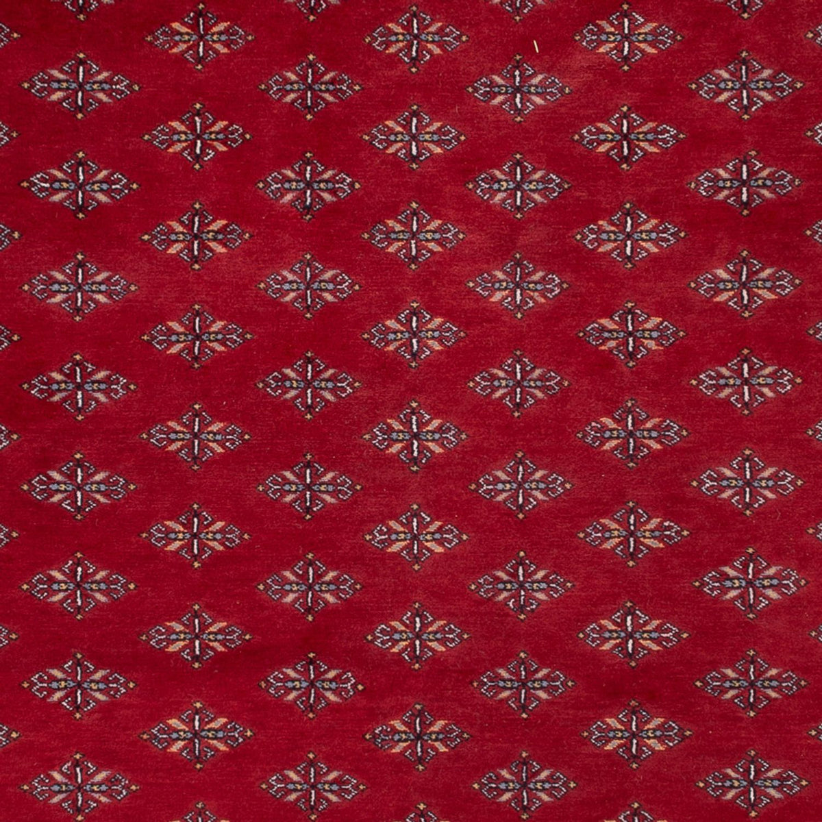 Alfombra afgana - Bukhara - 350 x 253 cm - rojo