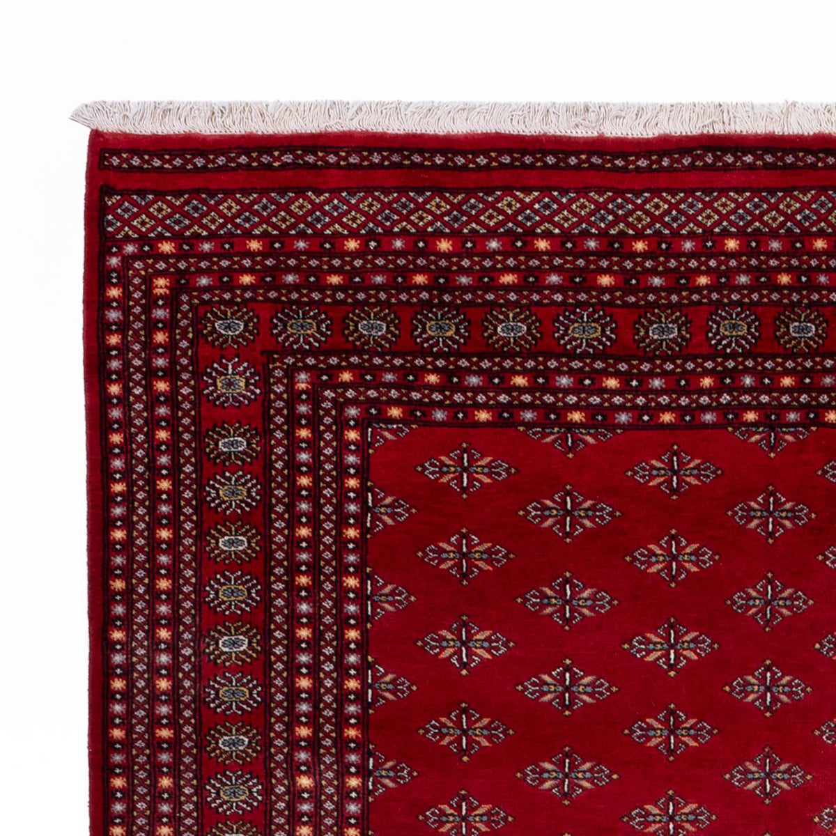 Alfombra afgana - Bukhara - 350 x 253 cm - rojo