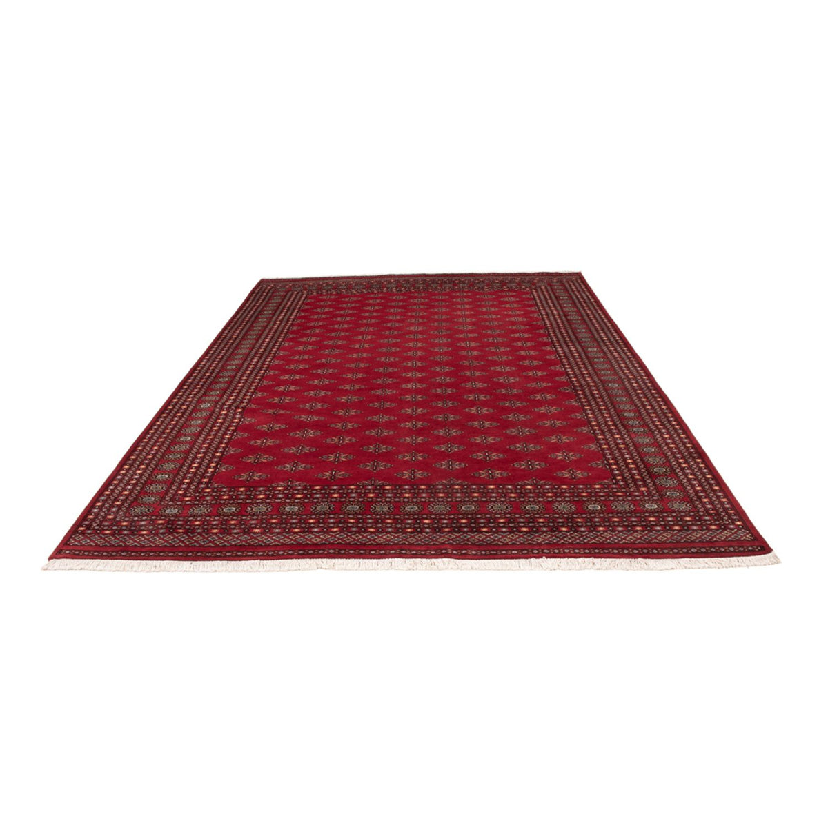 Alfombra afgana - Bukhara - 350 x 253 cm - rojo