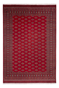 Alfombra afgana - Bukhara - 365 x 249 cm - rojo