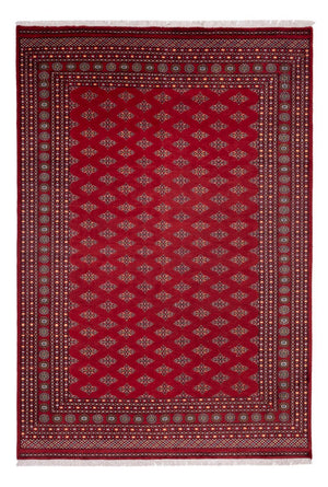 Alfombra afgana - Bukhara - 365 x 249 cm - rojo