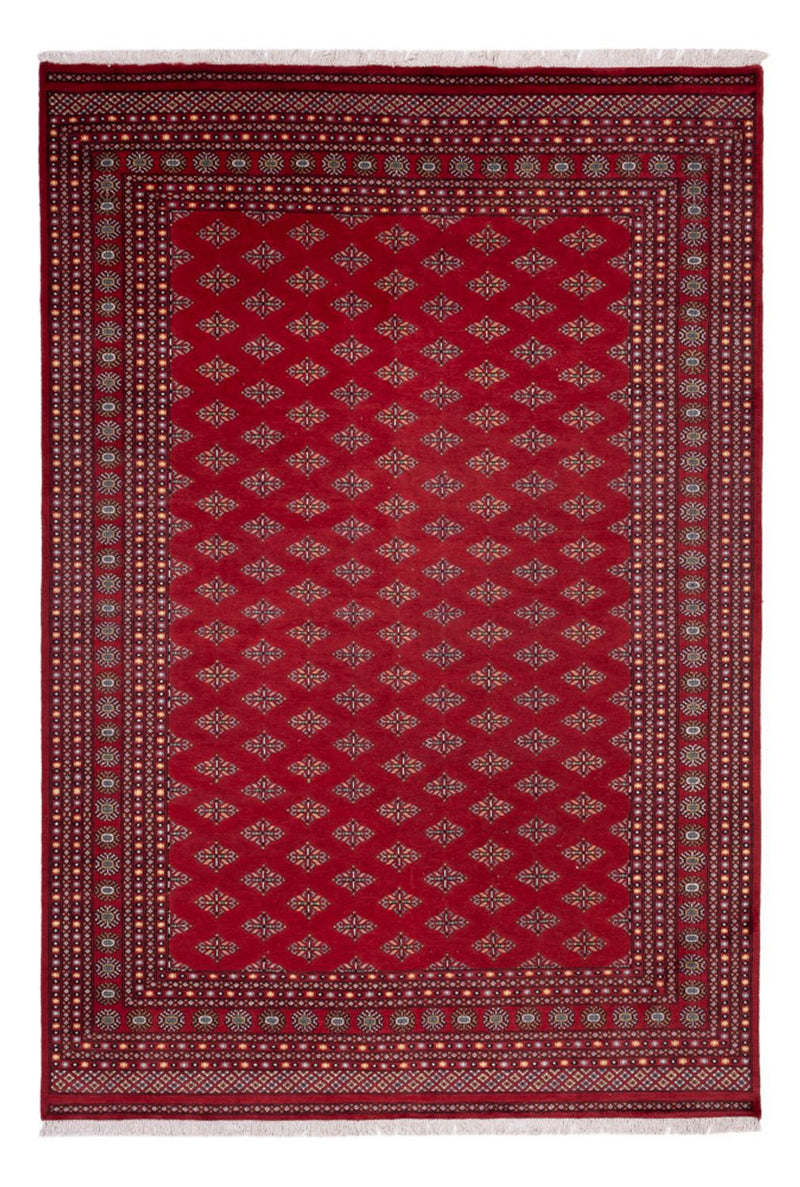 Alfombra afgana - Bukhara - 365 x 249 cm - rojo