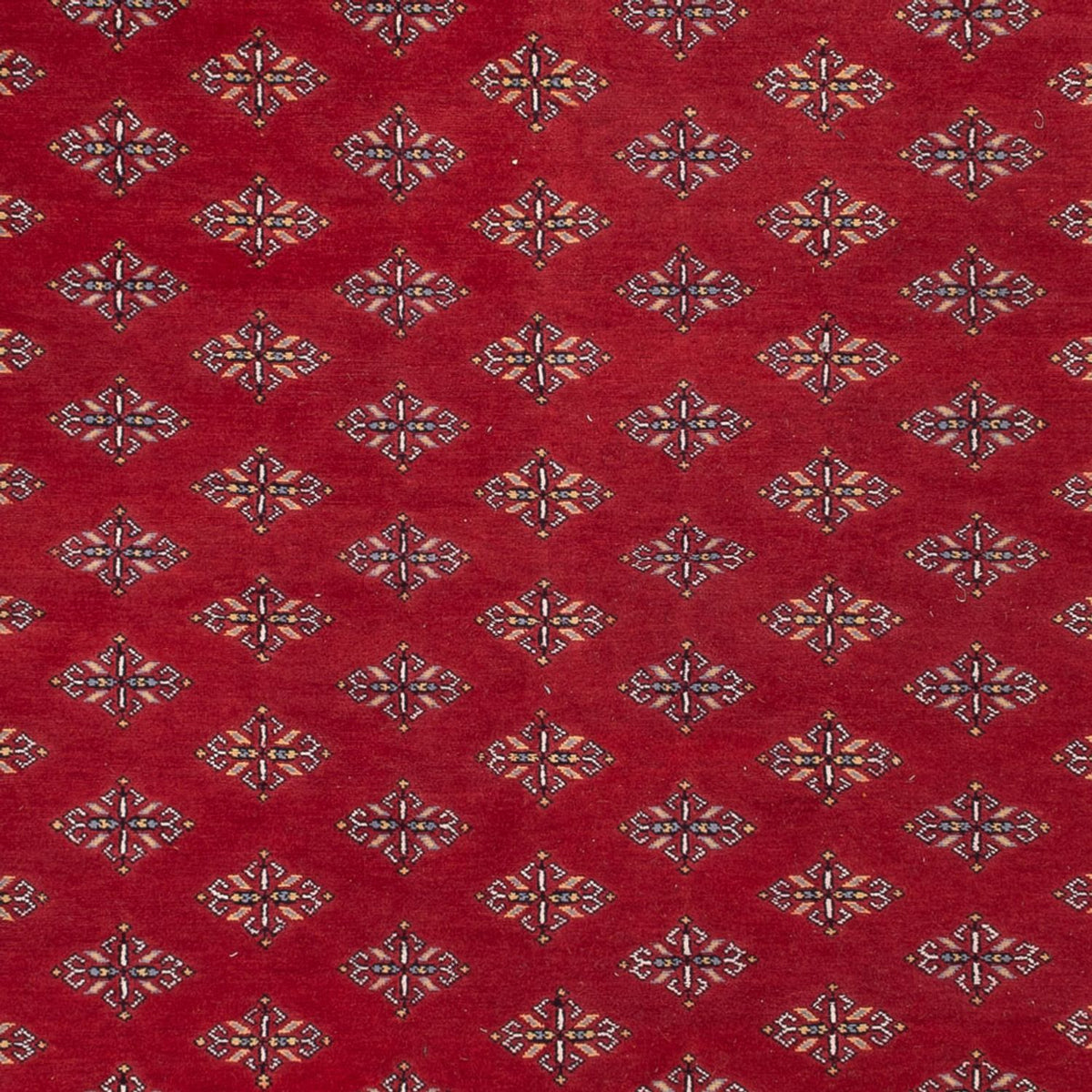 Alfombra afgana - Bukhara - 365 x 249 cm - rojo