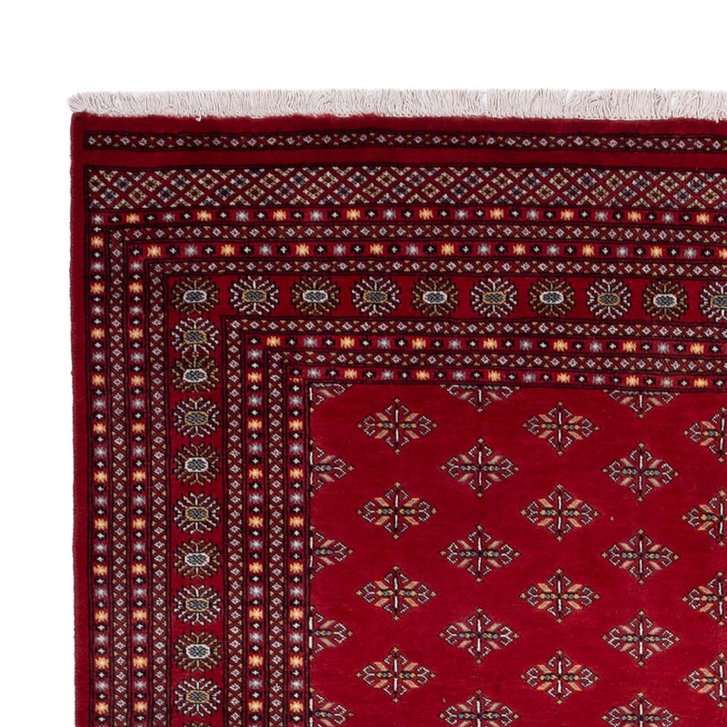 Alfombra afgana - Bukhara - 365 x 249 cm - rojo
