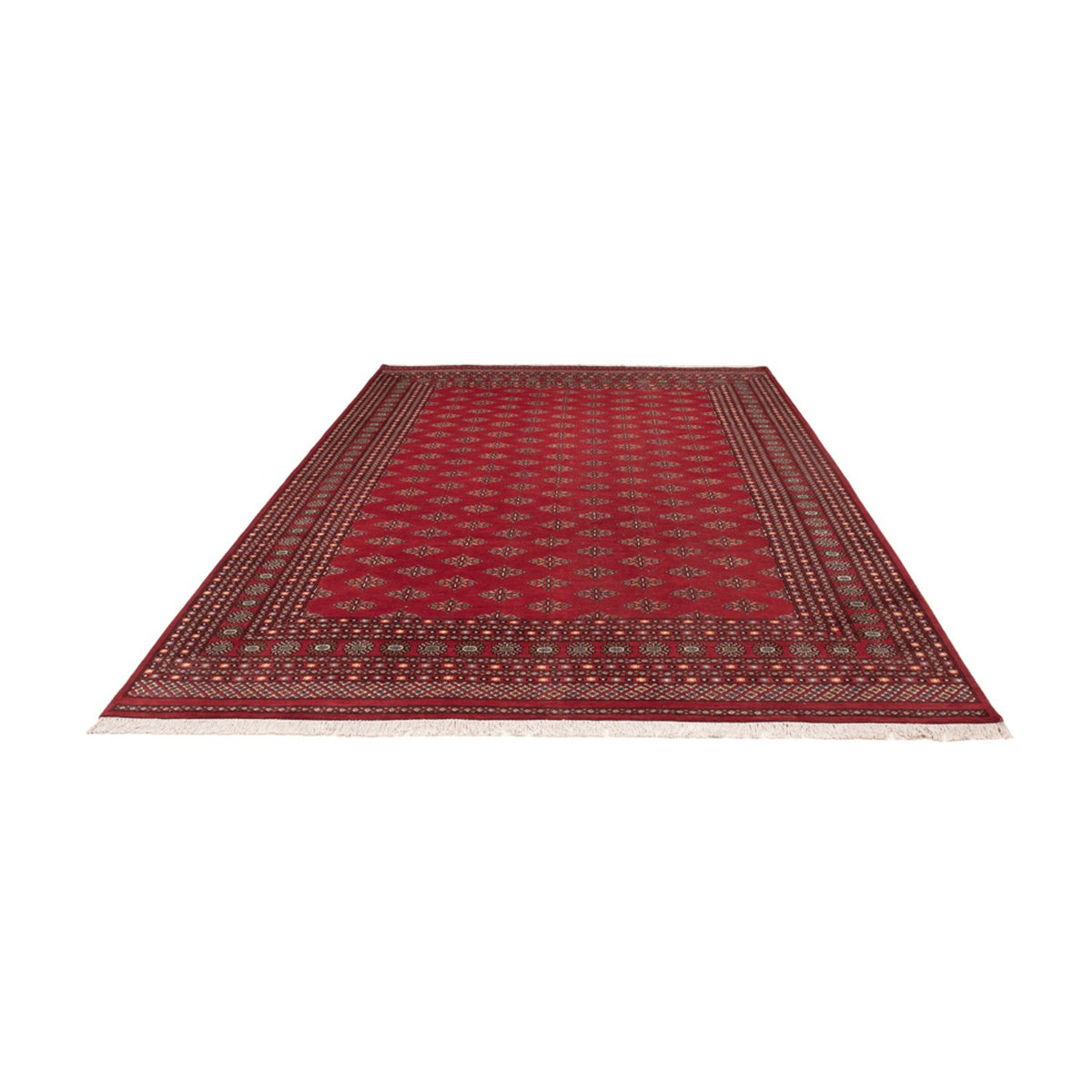 Alfombra afgana - Bukhara - 365 x 249 cm - rojo