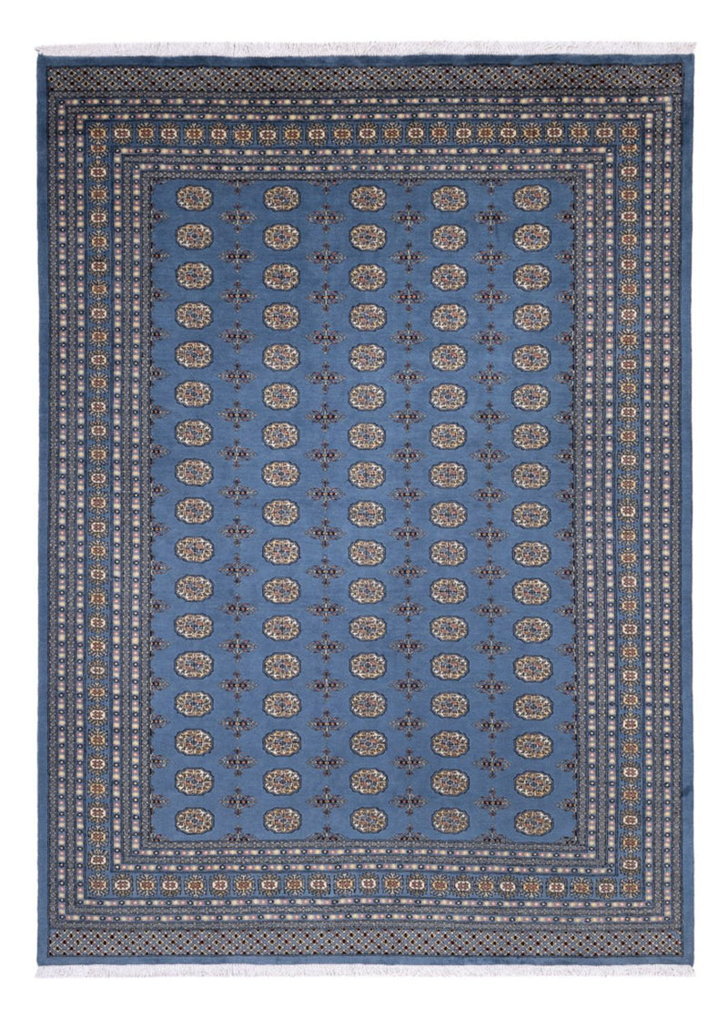 Alfombra afgana - Bukhara - 344 x 248 cm - azul