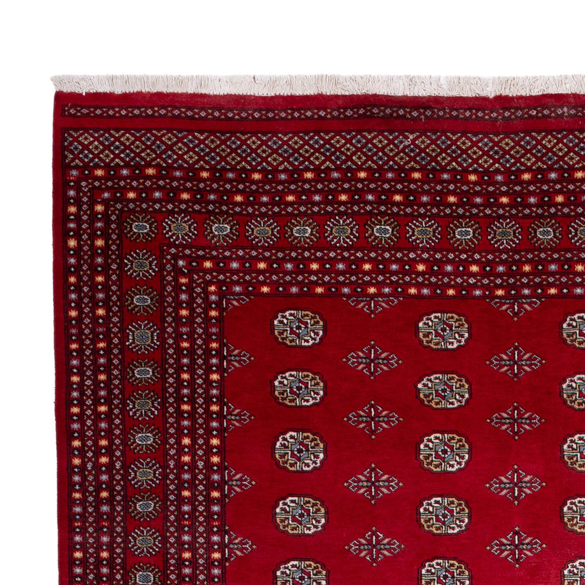 Alfombra afgana - Bukhara - 380 x 277 cm - rojo