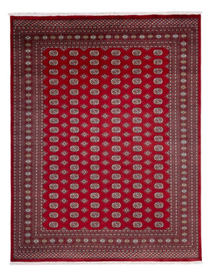 Alfombra afgana - Bukhara - 362 x 278 cm - rojo