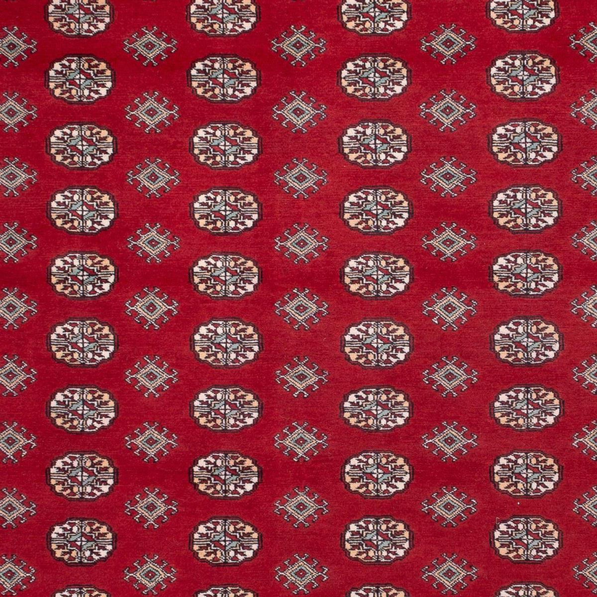 Alfombra afgana - Bukhara - 362 x 278 cm - rojo