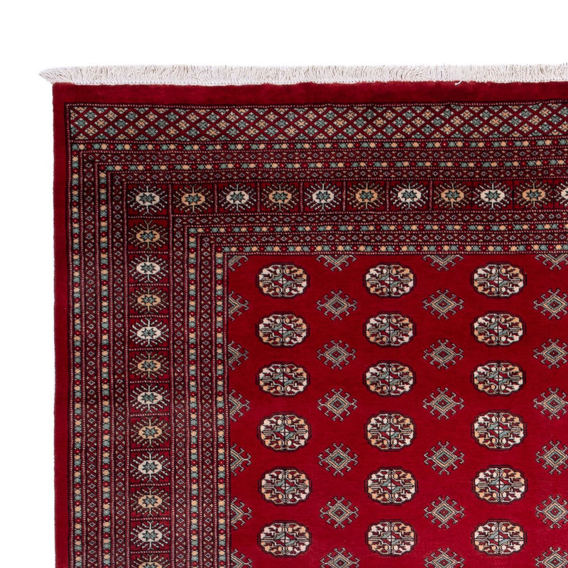 Alfombra afgana - Bukhara - 362 x 278 cm - rojo
