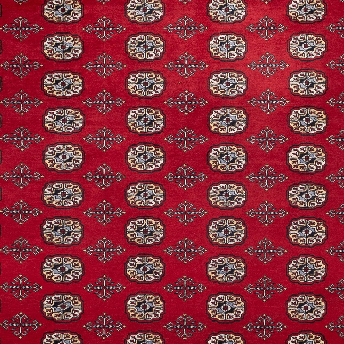 Alfombra afgana - Bukhara - 363 x 280 cm - rojo