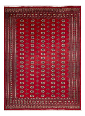 Alfombra afgana - Bukhara - 369 x 275 cm - rojo