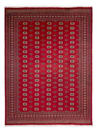 Alfombra afgana - Bukhara - 369 x 275 cm - rojo