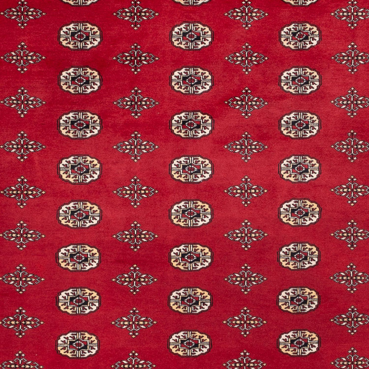 Alfombra afgana - Bukhara - 369 x 275 cm - rojo