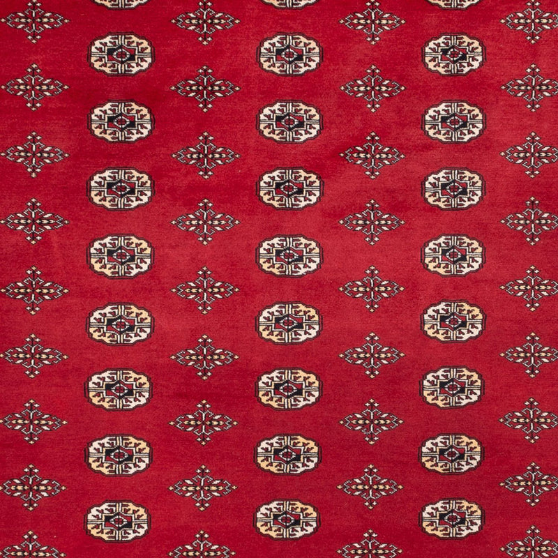 Alfombra afgana - Bukhara - 369 x 275 cm - rojo