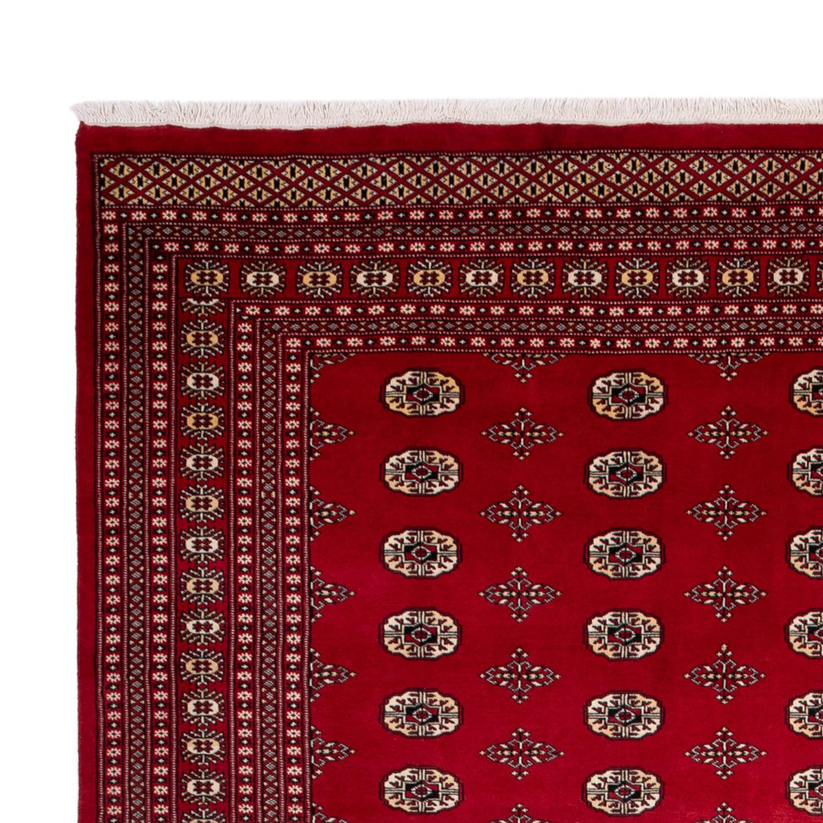 Alfombra afgana - Bukhara - 369 x 275 cm - rojo