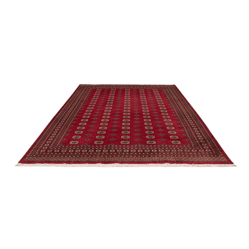 Alfombra afgana - Bukhara - 369 x 275 cm - rojo
