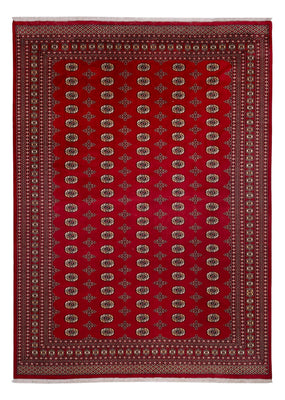 Alfombra afgana - Bukhara - 387 x 276 cm - rojo
