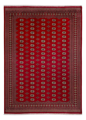 Alfombra afgana - Bukhara - 387 x 276 cm - rojo