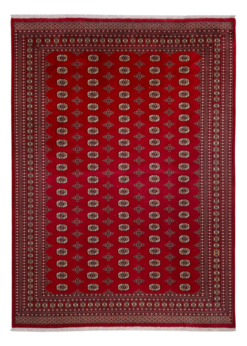 Alfombra afgana - Bukhara - 387 x 276 cm - rojo