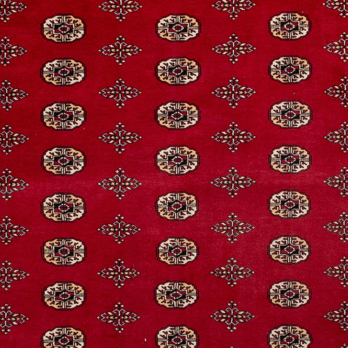 Alfombra afgana - Bukhara - 387 x 276 cm - rojo