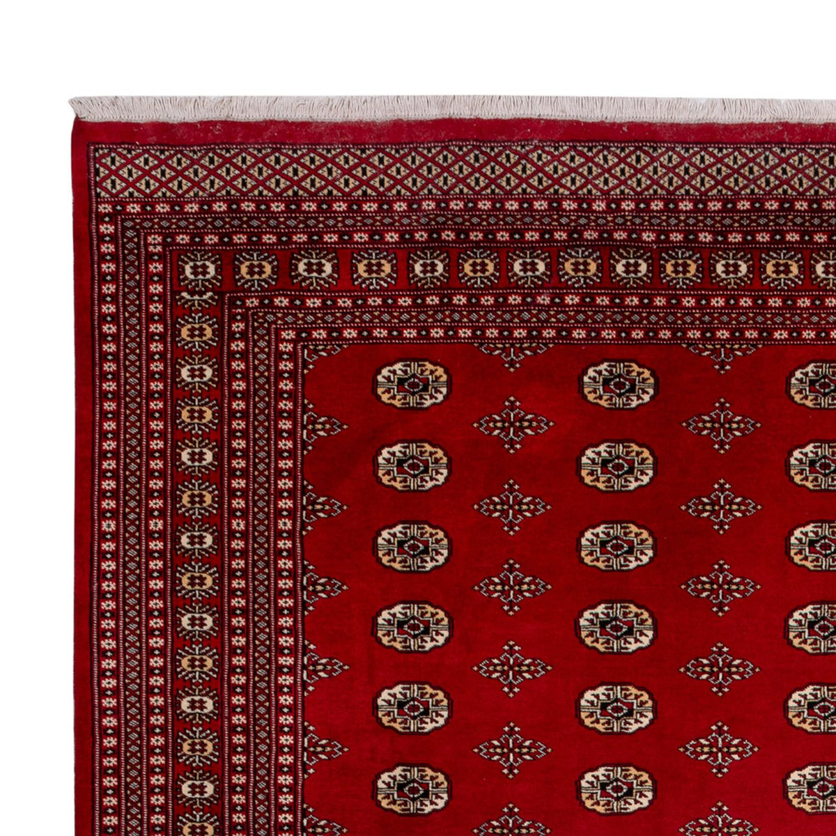Alfombra afgana - Bukhara - 387 x 276 cm - rojo
