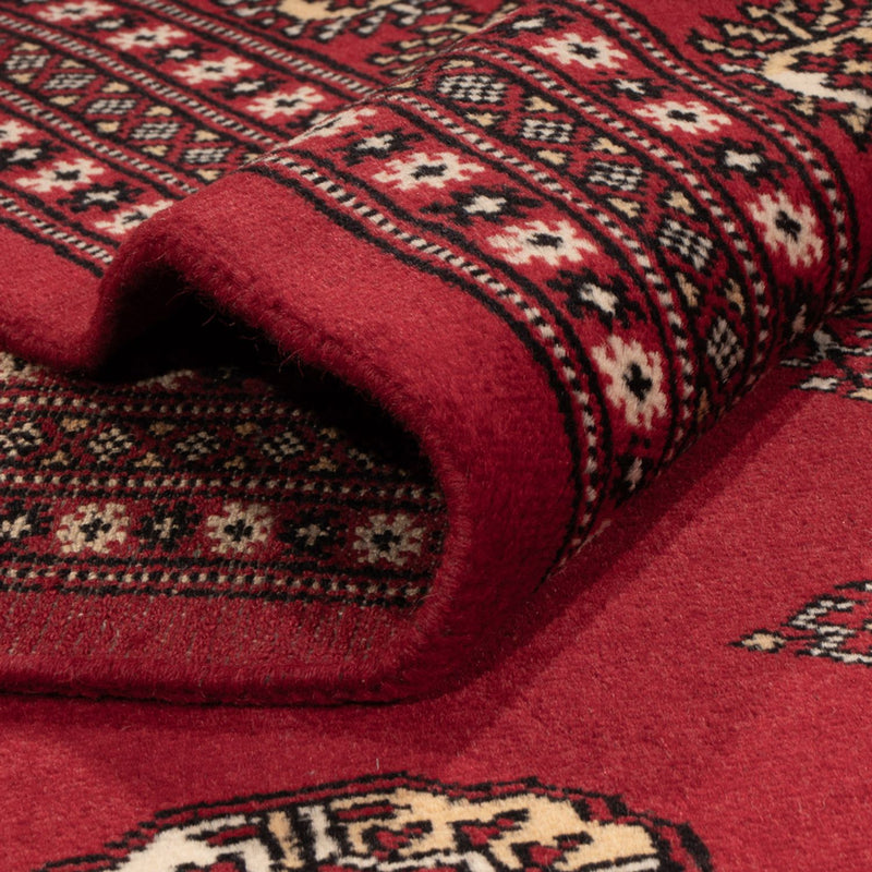 Alfombra afgana - Bukhara - 387 x 276 cm - rojo