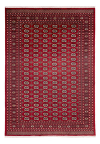 Alfombra afgana - Bukhara - 346 x 241 cm - rojo
