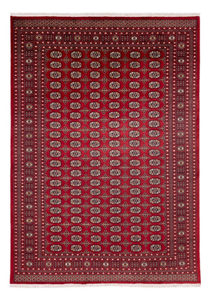 Alfombra afgana - Bukhara - 346 x 241 cm - rojo
