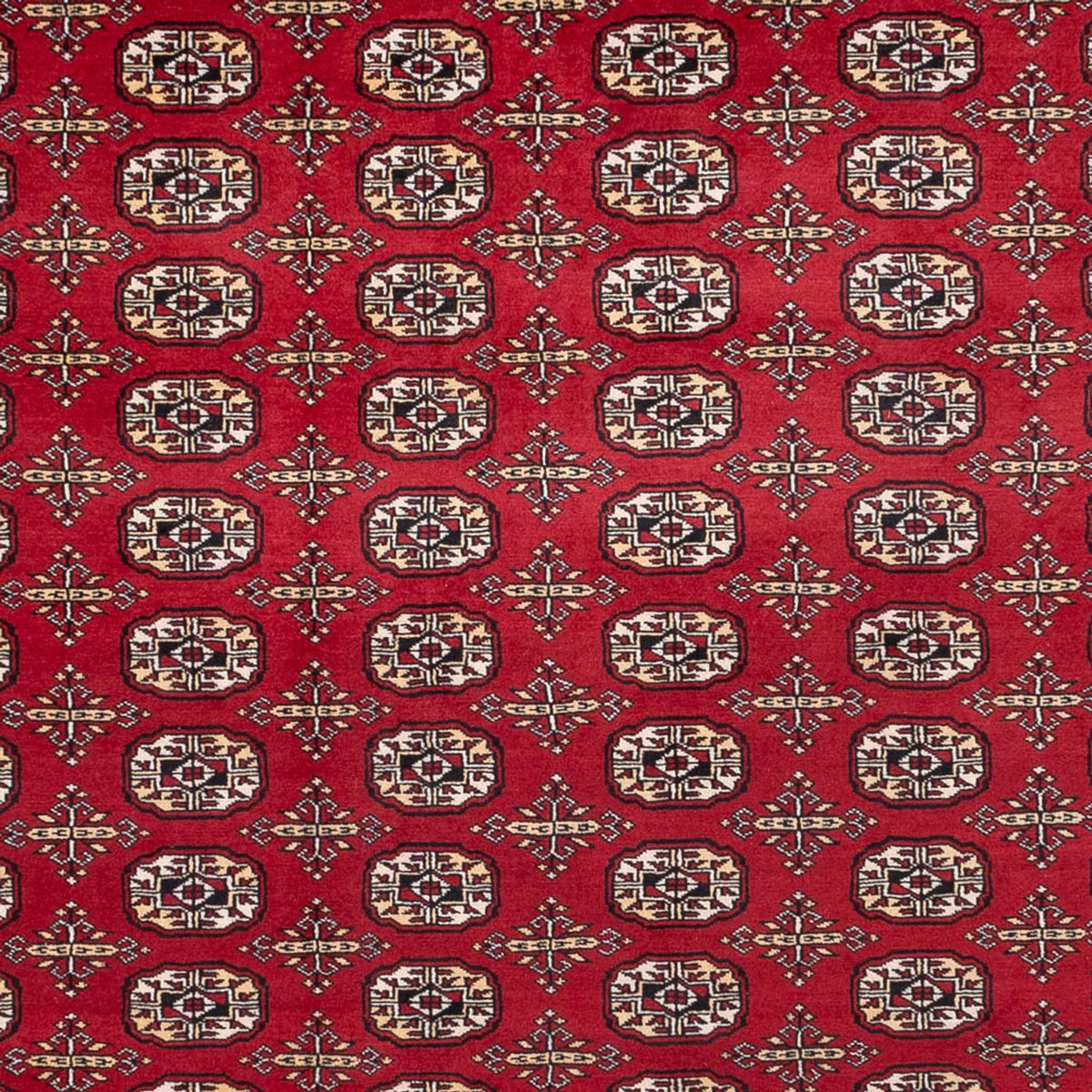 Alfombra afgana - Bukhara - 346 x 241 cm - rojo