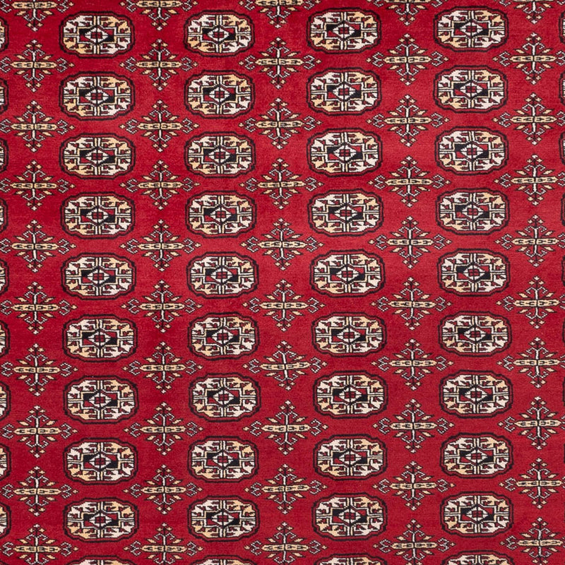 Alfombra afgana - Bukhara - 346 x 241 cm - rojo