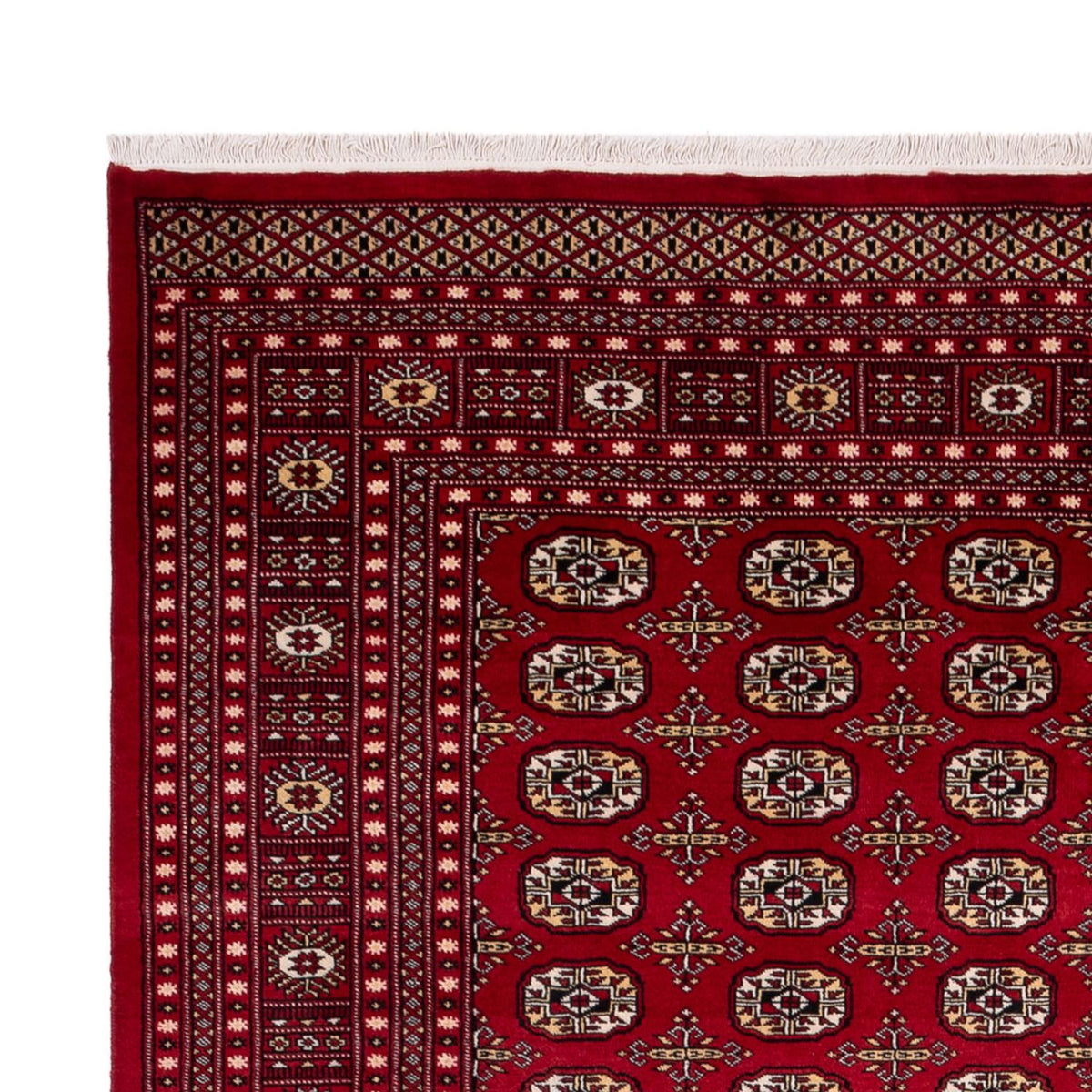 Alfombra afgana - Bukhara - 346 x 241 cm - rojo